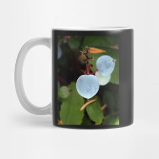 Oregon grape (Mahonia aquifolium) berries in a Pacific Northwest forest Mug